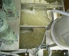 静岡県・マグロ缶詰工場